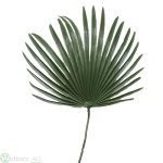 Palmblatt 20/48 cm