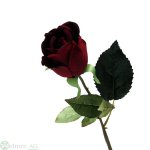 Rose x1, D6L60 cm