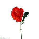 Rose x1 D10/L60 cm
