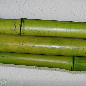 Bambus D14-30/L2000mm x5