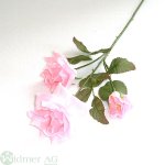 Rose 3 Blüten m.L 7/40 cm