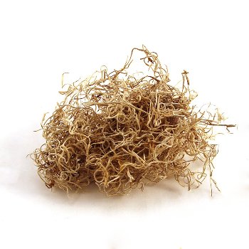 Dschungelmoos, 500gr/Box