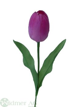 Tulpe 45 cm mit Laub