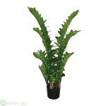 Smaragd-Pflanze 110 cm x11