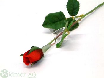 Rose geschlossen D3/L55 cm