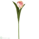 Tulpe D5/L48 cm