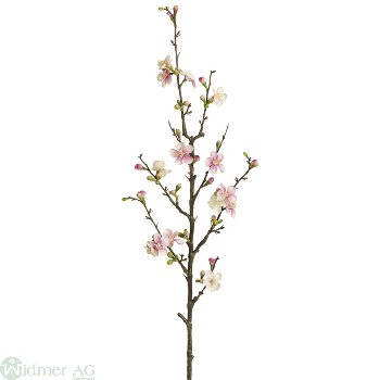 Apfelblütenzweig x8 86 cm