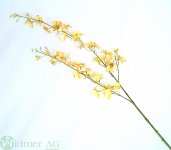 Orchideenzweig x2, 89 cm