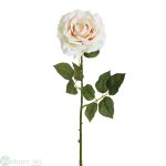 Rose 66 cm