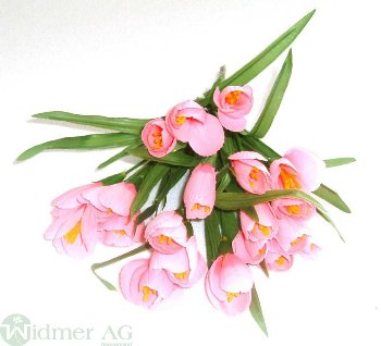 Krokusbusch x5/20 Blüten