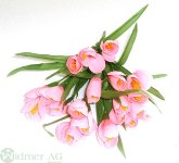 Krokusbusch x5/20 Blüten