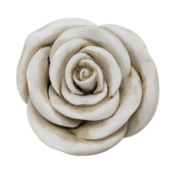 Rose D5.7 cm