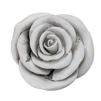 Rose D5.7 cm