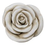 Rose D7.2 cm