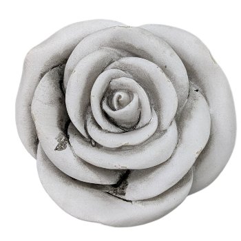 Rose D7.2 cm