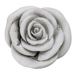 Rose D7.2 cm