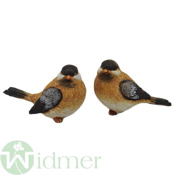 Vogel S/2, 16 cm