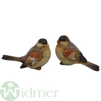 Vogel S/2, 16 cm
