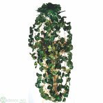 Pelargoniumhänger 65 cm