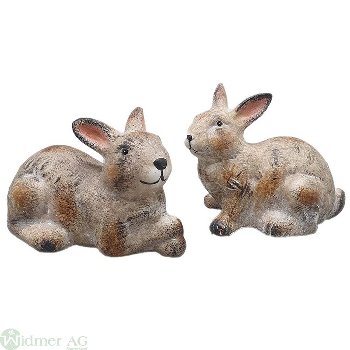 Hase S/2, 21x13x18.5 cm