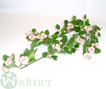 Rosenzweig 50 cm
