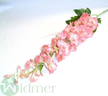 Delphinium 50/95 cm