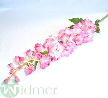 Delphinium 50/95 cm