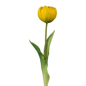 Tulpe 37 cm
