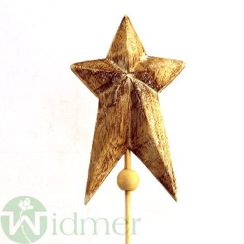 Stern auf Stab, 5.5x55cm