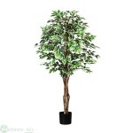 Ficus Benjamini 150 cm x840