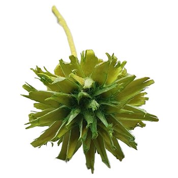 Plumosum, 70/VE