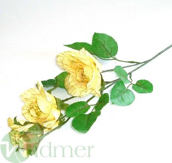 Rose x4 3-7/45 cm