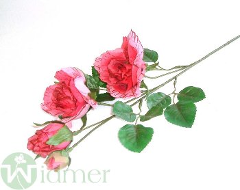 Rose x4 3-7/45 cm