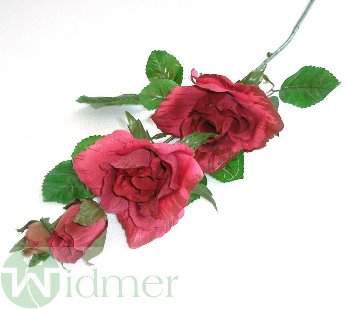 Rose x4 3-7/45 cm