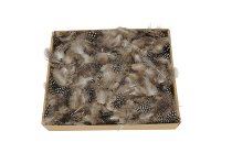 Feder Perlhuhn, 50g/Box