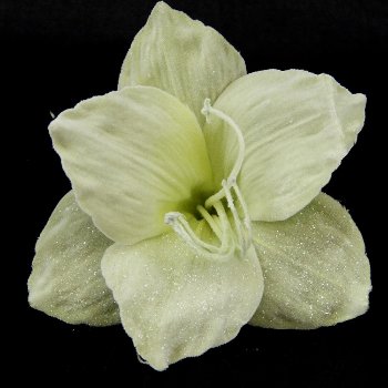 Amaryllis D17 cm velours m.St.