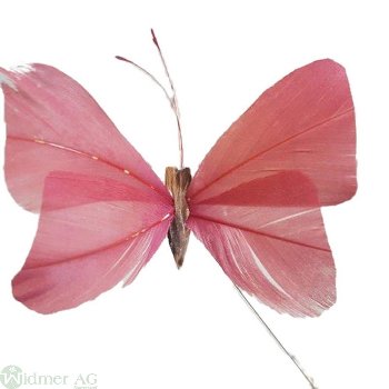 Schmetterling 7,5 cm