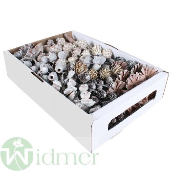Exotic assortiert, 100/VE