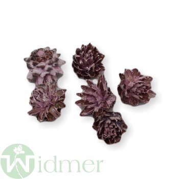 Plumosum kurz, ca. 250g/Box