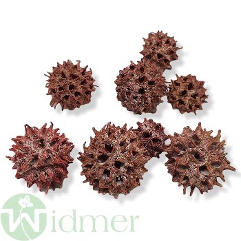 Amberbaum, ca. 500g/VE