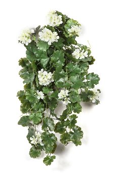 Geraniumhänger 66 cm