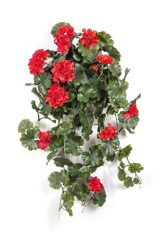 Geraniumhänger 66 cm