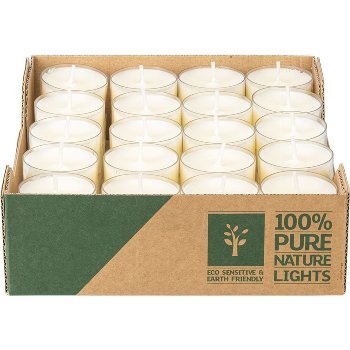 Teelicht mit Rapswachs, 40/Box