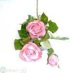 Rose x3 D6/75 cm