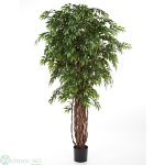 Ficus Liana 175 cm