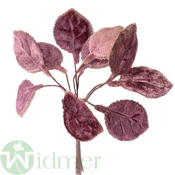 Rosen-Laub Velour 8 cm