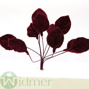Rosen-Laub Velour 8 cm