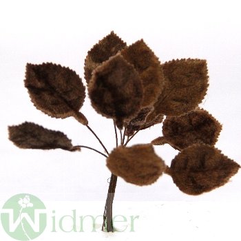Rosen-Laub Velour 8 cm
