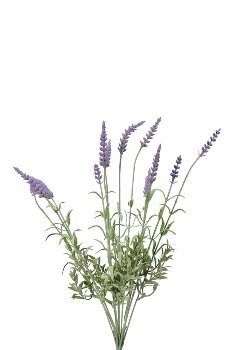 Lavendelbusch, 41 cm