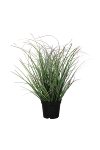 Gras im Topf, D20H35 cm